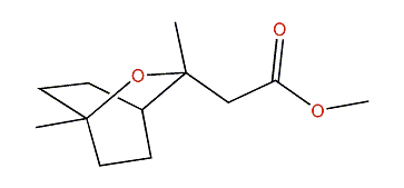 Methyl 9-cineoloate